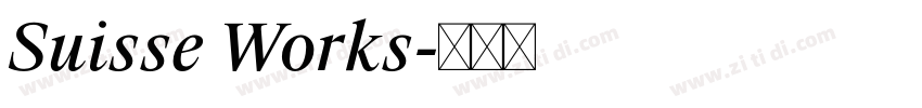Suisse Works字体转换